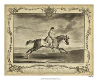 Distinguished Horses I