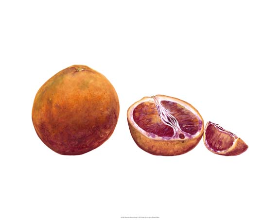 Watercolor Blood Orange
