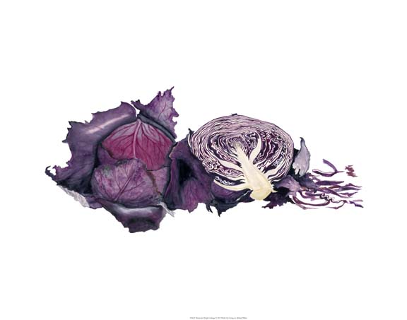 Watercolor Purple Cabbage