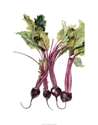 Watercolor Beets