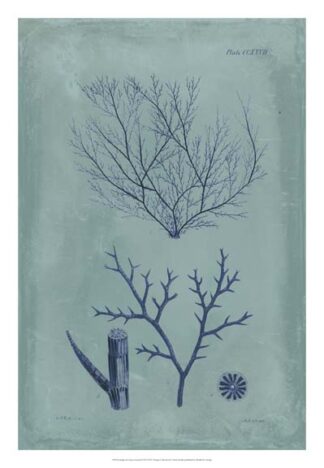 Indigo & Azure Seaweed VII
