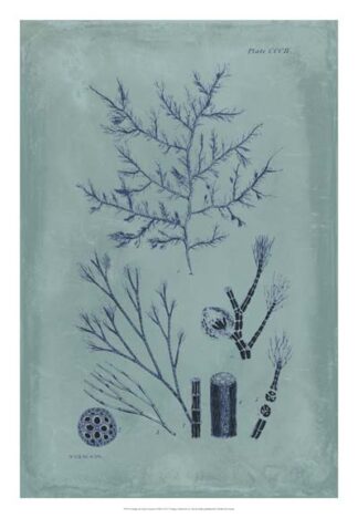 Indigo & Azure Seaweed VIII