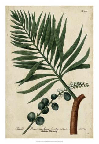 Vintage Tropicals IV