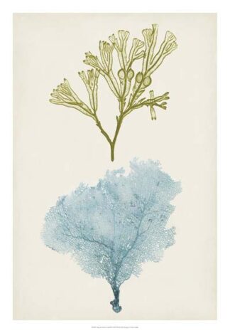 Aqua & Citron Coral II