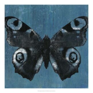 Chambray Butterflies I