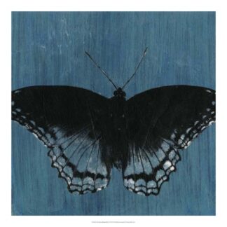 Chambray Butterflies II