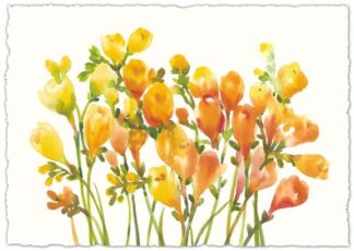 Freesia I