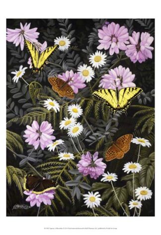 Tapestry of Butterflies