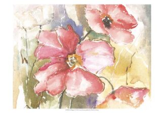 Soft Poppies I