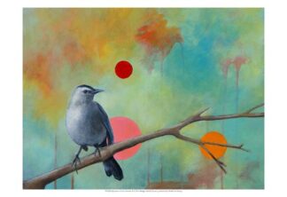 Mysteries of the Universe X