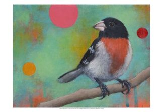 Mysteries of the Universe XI