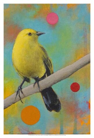 Mysteries of the Universe XII