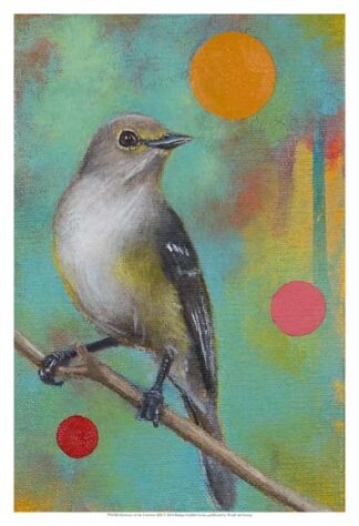 Mysteries of the Universe XIII