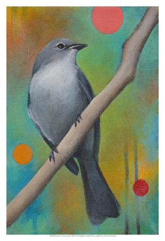 Mysteries of the Universe XIV