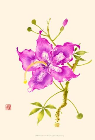 Hibiscus Flower I