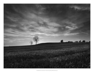 Black & White Sunset