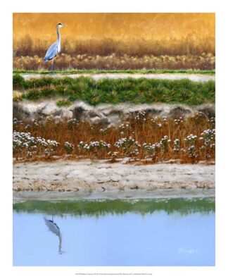 Blackwater Tapestry I