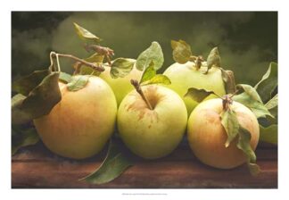 Jill's Green Apples II