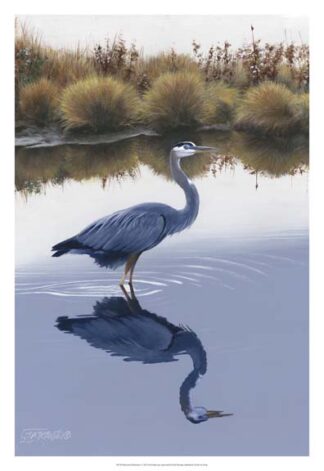 Blackwater Reflections I