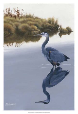 Blackwater Reflections II