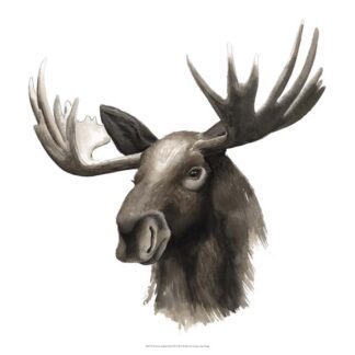 Western Animal Study III