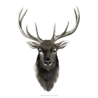 Western Animal Study V
