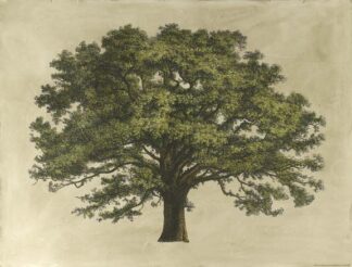 Oversize Elephant Tree (COLOR)