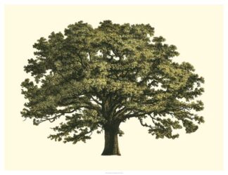 Oversize Elephant Tree