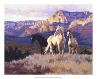 In the Cool of the Day