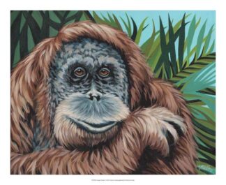 Jungle Monkey I