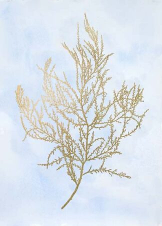 Gold Foil Algae III on Blue
