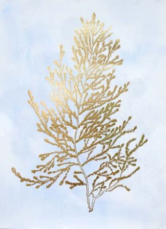 Gold Foil Algae IV on Blue
