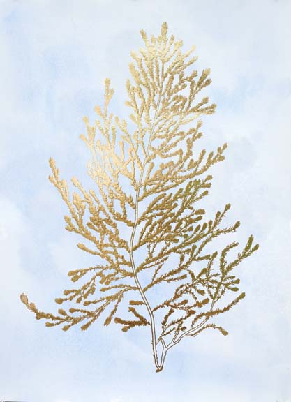 Gold Foil Algae IV on Blue