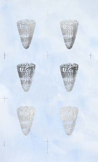 6-Up Silver Foil Shell I on Blue Wash I