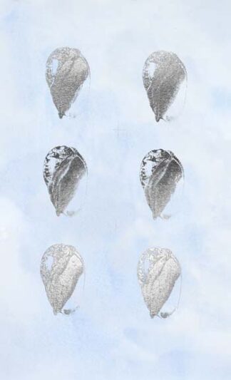 6-Up Silver Foil Shell IV on Blue Wash IV