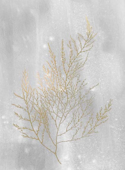Gold Foil Algae II on Grey Wash