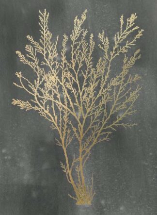 Gold Foil Algae I on Black Wash