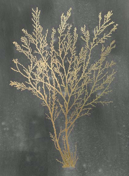 Gold Foil Algae I on Black Wash