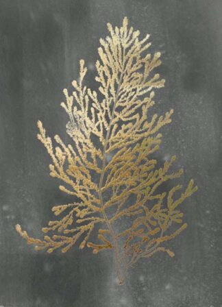 Gold Foil Algae IV on Black Wash