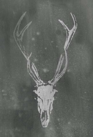 Silver Foil Rustic Mount I on Black Wash