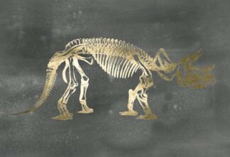 Gold Foil Dinosaur on Black Wash