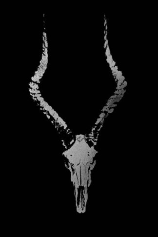 Silver Foil Rustic Mount II on Black