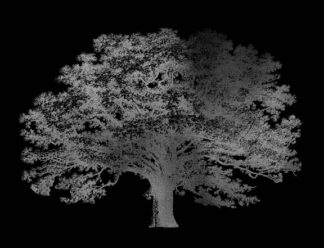 Silver Foil Elephant Tree on Black