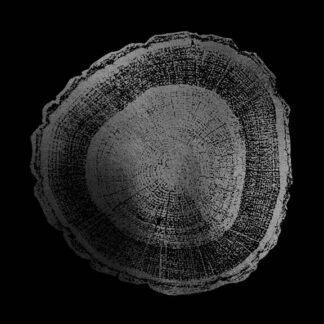 Silver Foil Tree Ring I on Black