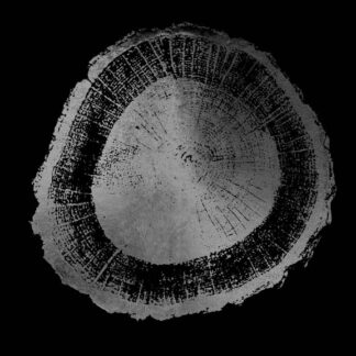 Silver Foil Tree Ring II on Black