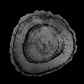 Silver Foil Tree Ring III on Black