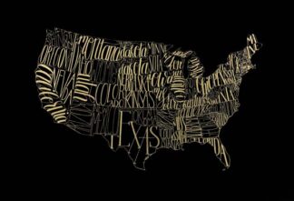 Gold Foil USA Map on Black