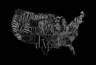 Silver Foil USA Map on Black