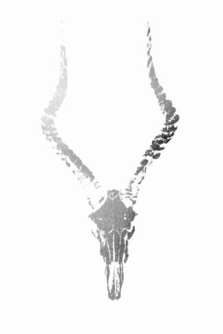 Silver Foil Rustic Mount II on White