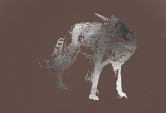 Silver Foil Fox on Bitter Chocolate